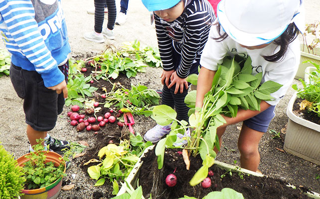 野菜作りをする子供たち